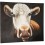 Beautiful hand painted canvas COW