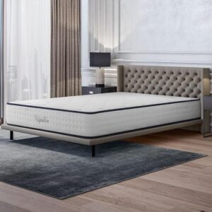 Ex Matelas contre le mal de dos et sommeil réparateur