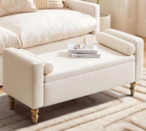 Banc de Rangement Élégant avec Coussin