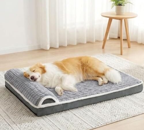 Panier Orthopédique pour Chien Jolibean Panier Orthopédique pour Chien Jolibean