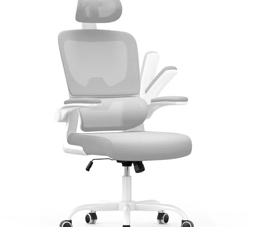 Chaise de Bureau Ergonomique avec Support Lombaire Chaise de Bureau Ergonomique avec Support Lombaire