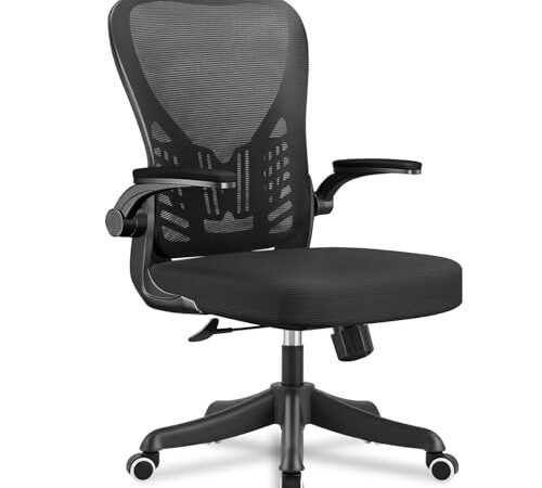 Chaise de Bureau Ergonomique avec Support Lombaire