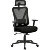 Chaise de Bureau Ergonomique avec Support Lombaire Chaise de Bureau Ergonomique avec Support Lombaire