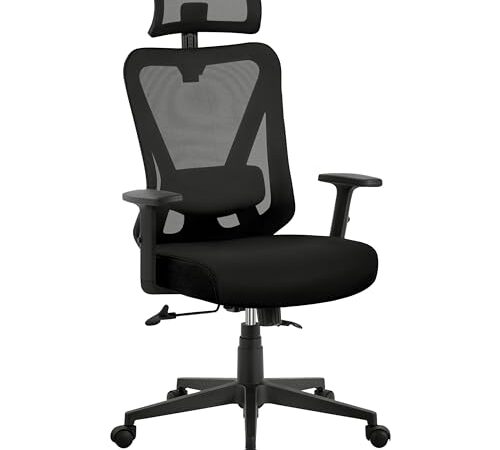 Chaise de Bureau Ergonomique avec Support Lombaire Chaise de Bureau Ergonomique avec Support Lombaire