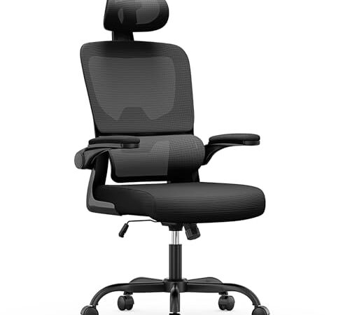 Chaise de Bureau Ergonomique avec Support Lombaire Chaise de Bureau Ergonomique avec Support Lombaire