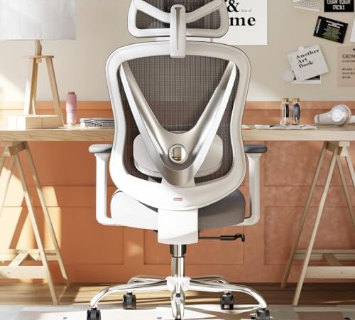 Chaise de Bureau Ergonomique HOLLUDLE Blanc