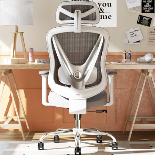 Chaise de Bureau Ergonomique HOLLUDLE Blanc