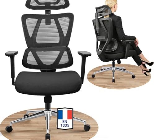 Chaise de Bureau Ergonomique MELOKEA