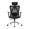 Chaise de Bureau Ergonomique SIHOO