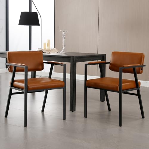 Chaise de Cuisine en Cuir PU Lot de 2 Chaise de Cuisine en Cuir PU Lot de 2