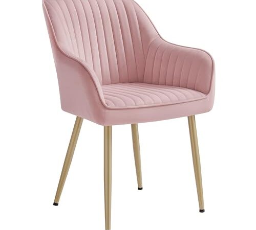 Chaise de Salle à Manger en Velours Chaise de Salle à Manger en Velours