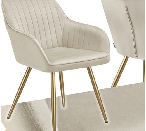 Chaise de Salle à Manger moderne en Velours Chaise de Salle à Manger moderne en Velours