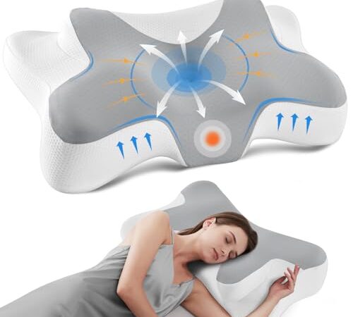 Coussin Lombaire Ergonomique DONAMA Mémoire de Forme