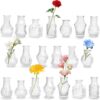 Ensemble de 20 Mini Vases en Verre Ensemble de 20 Mini Vases en Verre