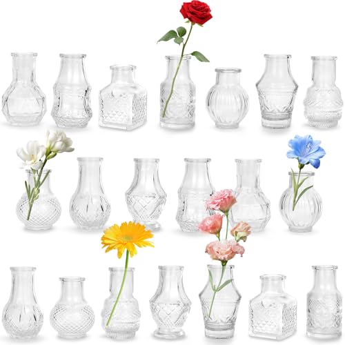 Ensemble de 20 Mini Vases en Verre Ensemble de 20 Mini Vases en Verre