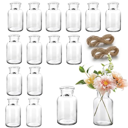 Lot de 15 Mini Vases en Verre Lot de 15 Mini Vases en Verre