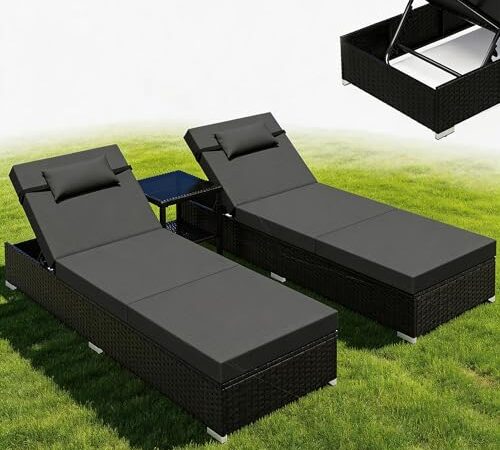 Lot de 2 Chaises Longues de Jardin