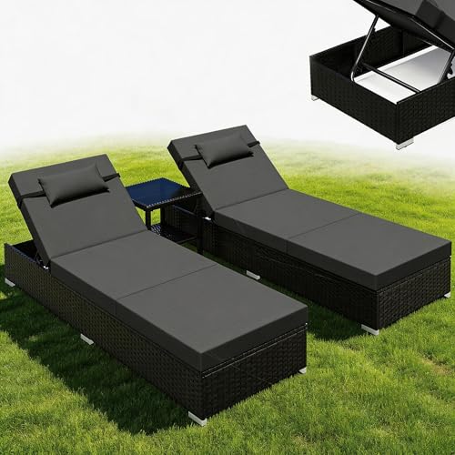 Lot de 2 Chaises Longues de Jardin Lot de 2 Chaises Longues de Jardin