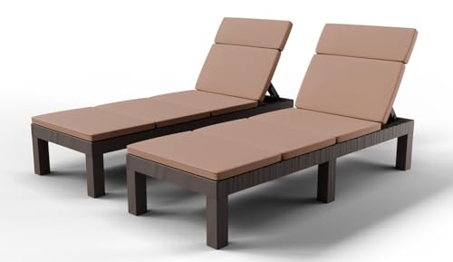 Lot de 2 Chaises Longues de Jardin Confortables