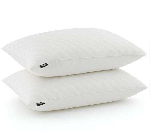 Lot de 2 Oreillers Mémoire de Forme