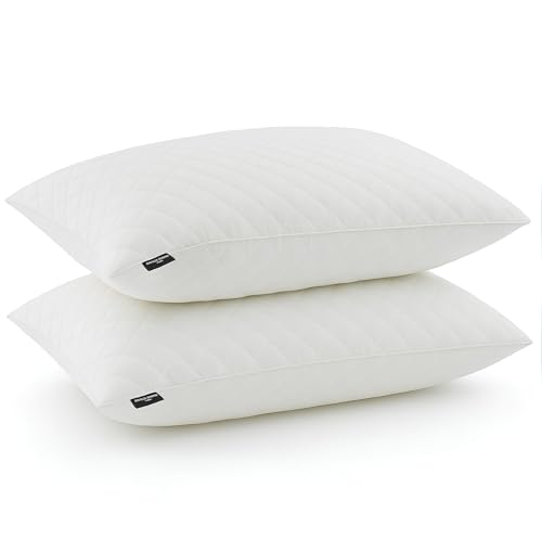 Lot de 2 Oreillers Mémoire de Forme