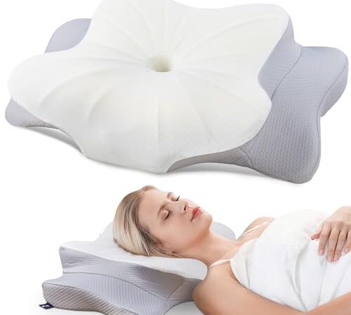 Oreiller Ergonomique DONAMA en Mousse Mémoire