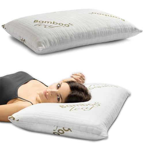 Oreiller Ergonomique en Mousse à Mémoire Oreiller Ergonomique en Mousse à Mémoire
