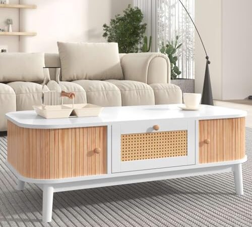 Table Basse en Rotin avec Rangement Table Basse en Rotin avec Rangement