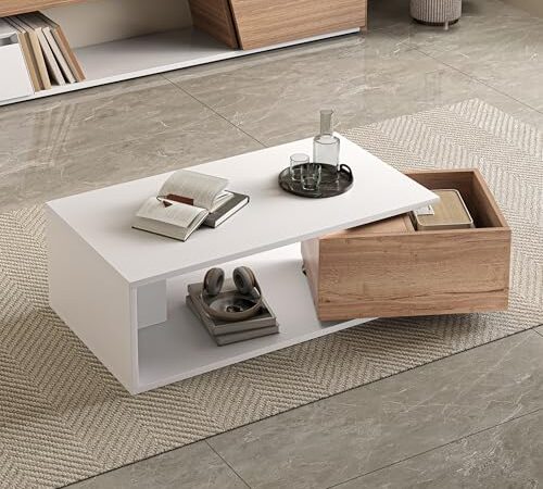 Table Basse Haute Brillance avec Rangement