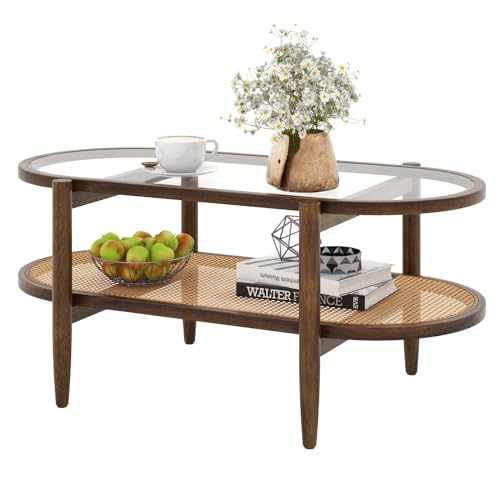 Table Basse Ovale en Bois et Verre
