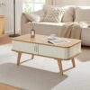 Table Basse Scandinave Design avec Rangement