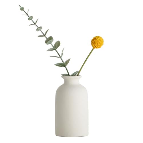 Vase rond en céramique pour fleurs séchées Vase rond en céramique pour fleurs séchées