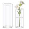 Vases en Acrylique Transparent pour Fleurs