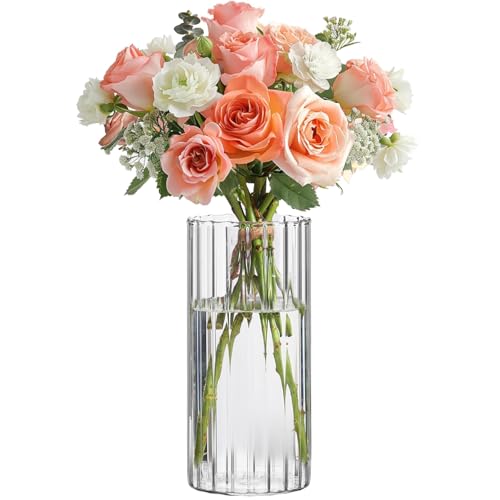 Vase Transparent Cylindrique pour Fleurs Vase Transparent Cylindrique pour Fleurs