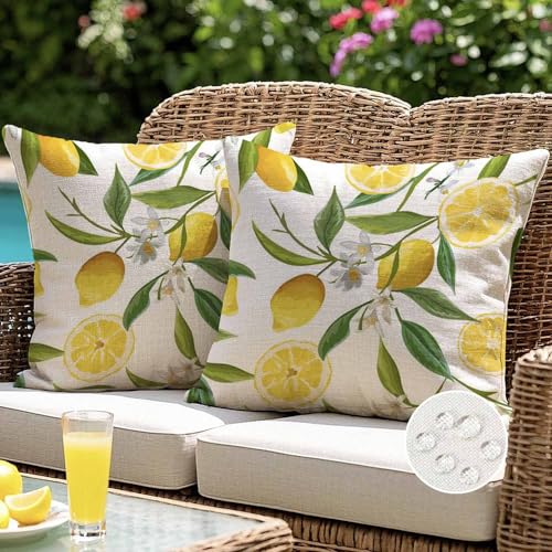 Housses de Coussin Imperméables 40x40 cm