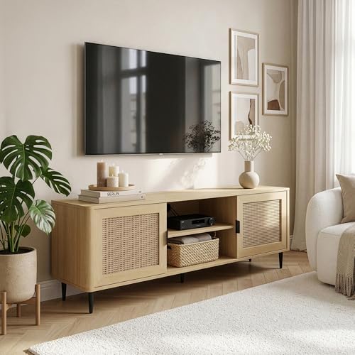 Meuble TV Élégant avec Rangement Intégré Meuble TV Élégant avec Rangement Intégré