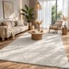 Tapis Bahar Shaggy Élégant 160x230 cm