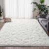 Tapis Salon Antidérapant 160x230CM Tapis Salon Antidérapant 160x230CM