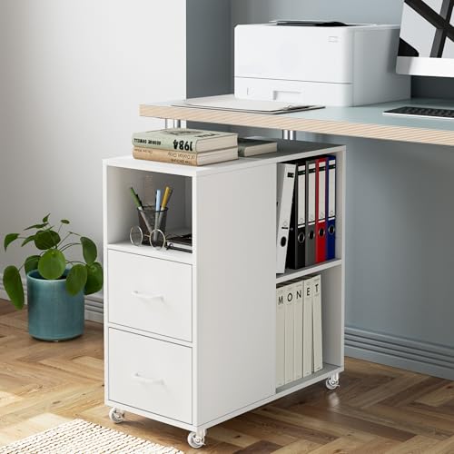 Caisson de Bureau Blanc à 2 Tiroirs