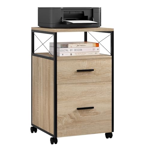 Caisson de Bureau Mobile à 2 Tiroirs