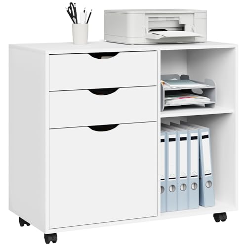 Caisson de Bureau WOLTU avec 3 Tiroirs