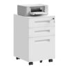 Caisson de Bureau WOLTU avec Roulettes Caisson de Bureau WOLTU avec Roulettes