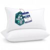 Coussins Flowen Lot de 2 40x60 Blanc Coussins Flowen Lot de 2 40x60 Blanc