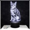 Lampe 3D Chat Decoration Unique Lampe 3D Chat Decoration Unique