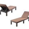 Lot de 2 Chaises Longues Pliables