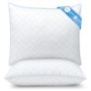 Lot de 2 Oreillers Moelleux TESQ 65x65 cm Lot de 2 Oreillers Moelleux TESQ 65x65 cm