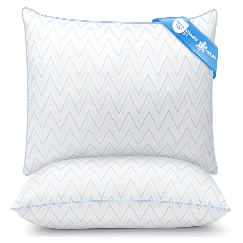 Lot de 2 Oreillers Moelleux TESQ 65x65 cm Lot de 2 Oreillers Moelleux TESQ 65x65 cm