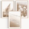 Lot de 3 Tableaux Décoratifs Boho Lot de 3 Tableaux Décoratifs Boho
