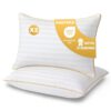Oreiller Hôtellerie Panteka - Lot de 2