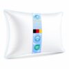 Oreiller Luxe Plume 50x70 cm
